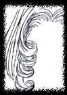 Ringlet