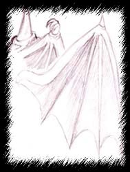 Bat wings